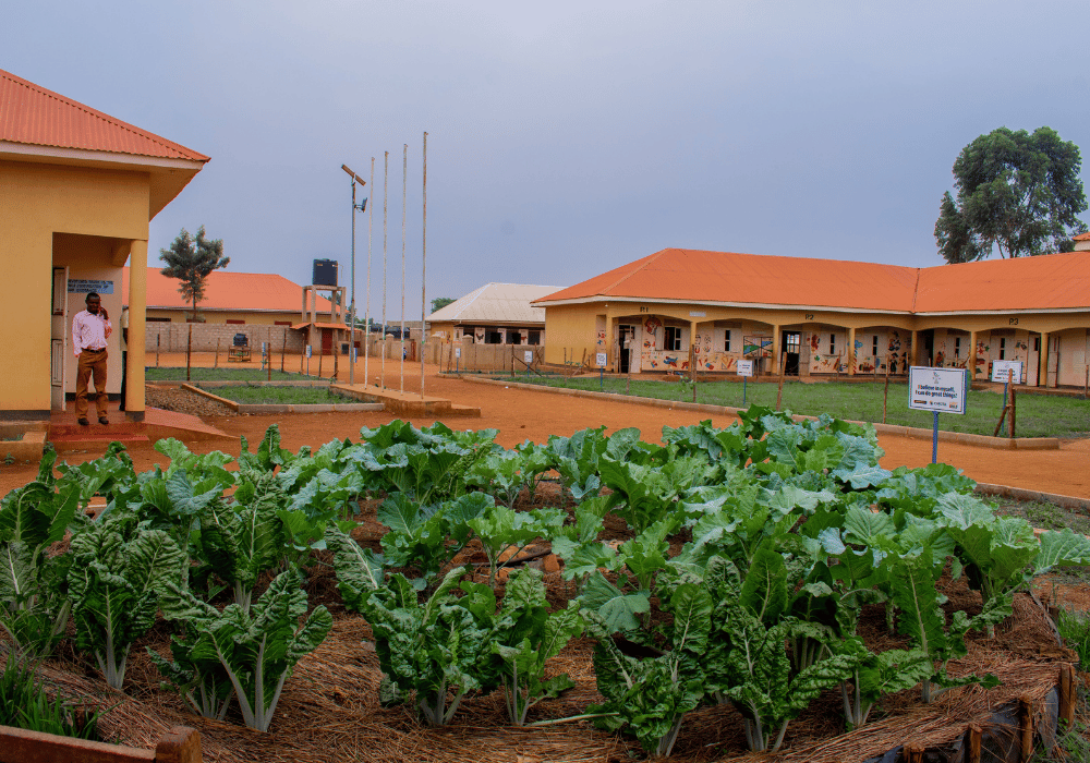 Vegetable Agriculture 2